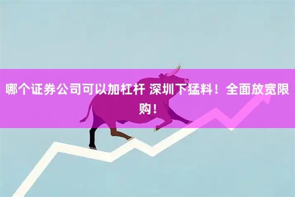 哪个证券公司可以加杠杆 深圳下猛料！全面放宽限购！